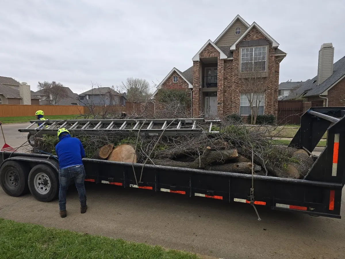 Expert Lot Clearing with proper safety equipment in Elma